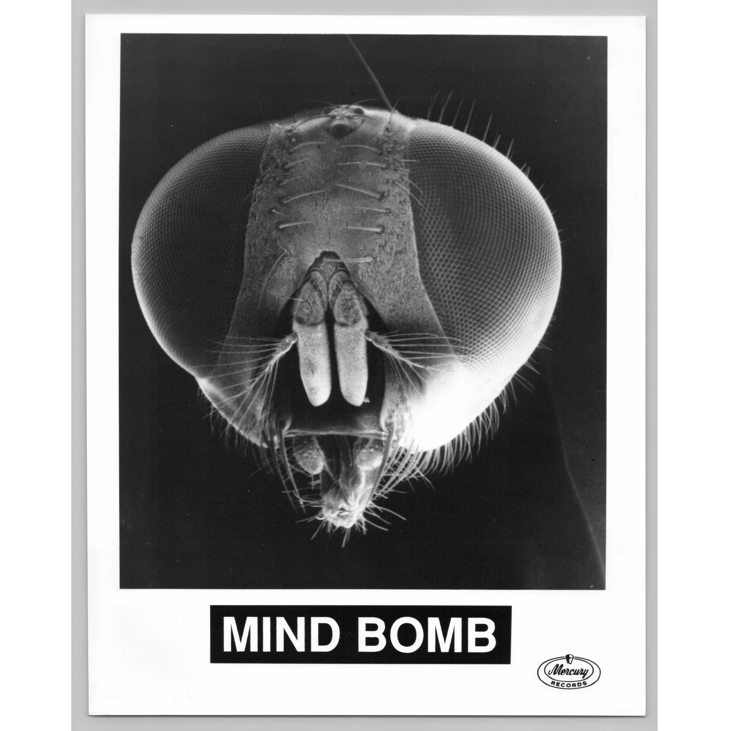 Mind Bomb Chicago Alternative Industrial Rock Band 80s-90s Music Press Photo