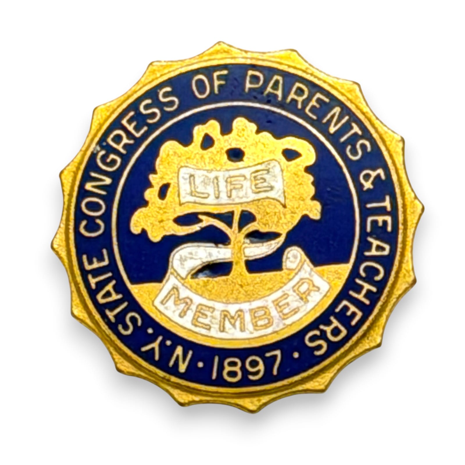 1950s New York State Congress Of Parents And Teachers Life Member Enamel Pin